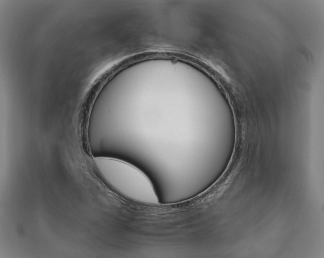 X0000112051311200908040941
