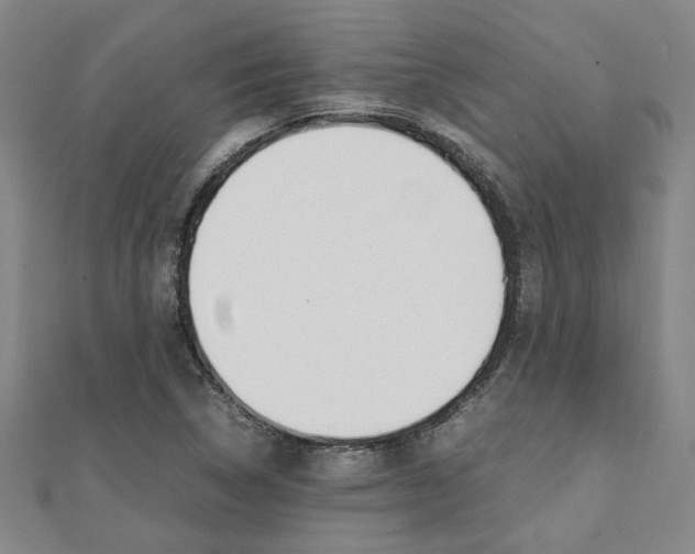 X0000112051314200908040941