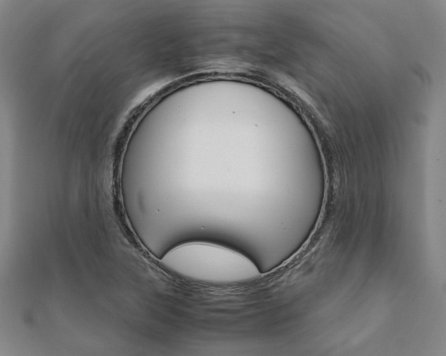 X0000112051315200908040941
