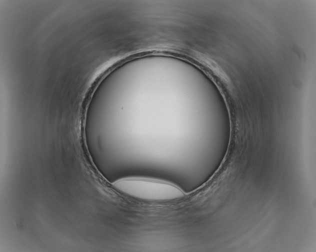 X0000112051316200908040942