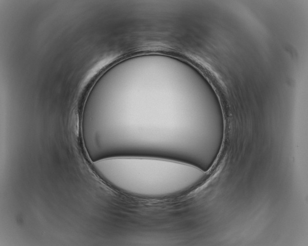 X0000112051317200908040942