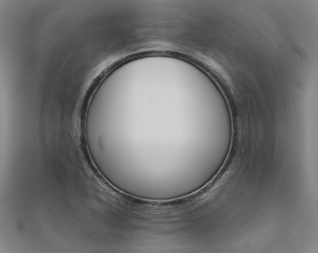 X0000112051318200908040942