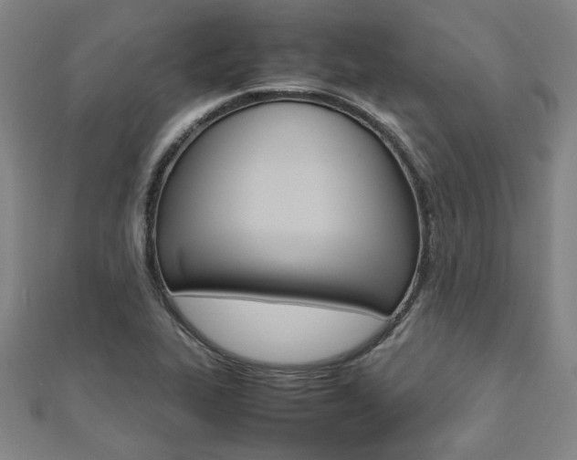 X0000112051319200908040942
