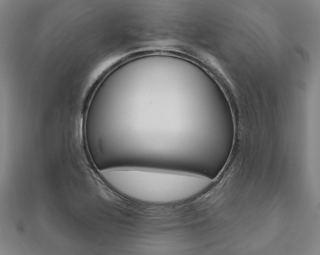 X0000112051320200908040942