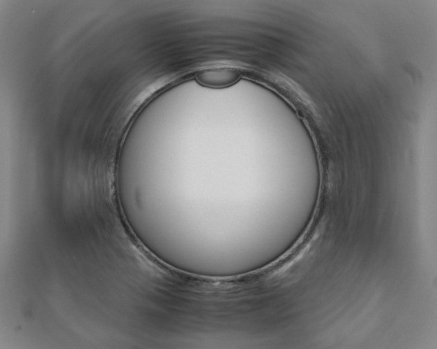 X0000112051321200908040942