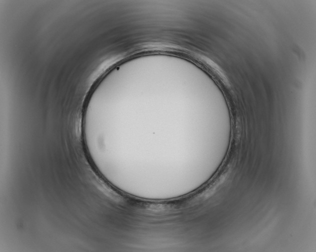 X0000112051322200908040942