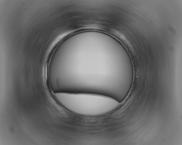 X0000112051323200908040942