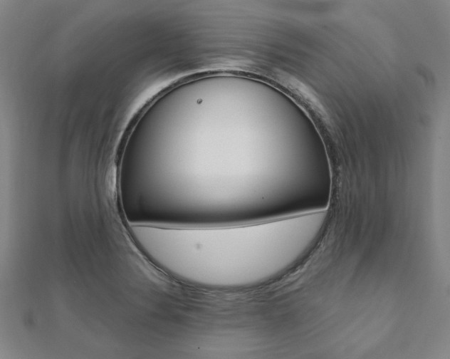 X0000112051324200908040942