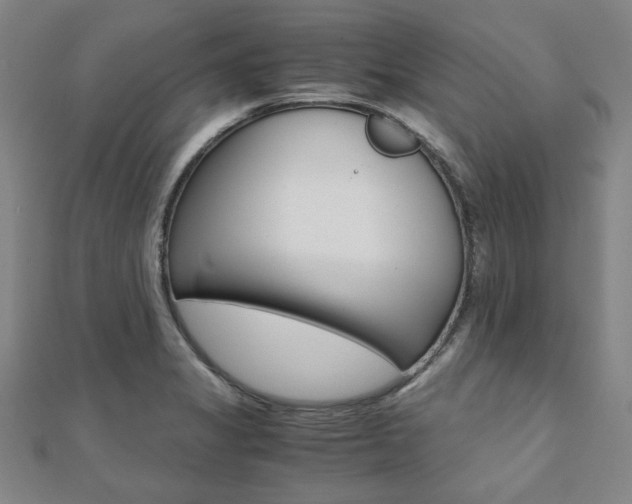 X0000112051325200908040942