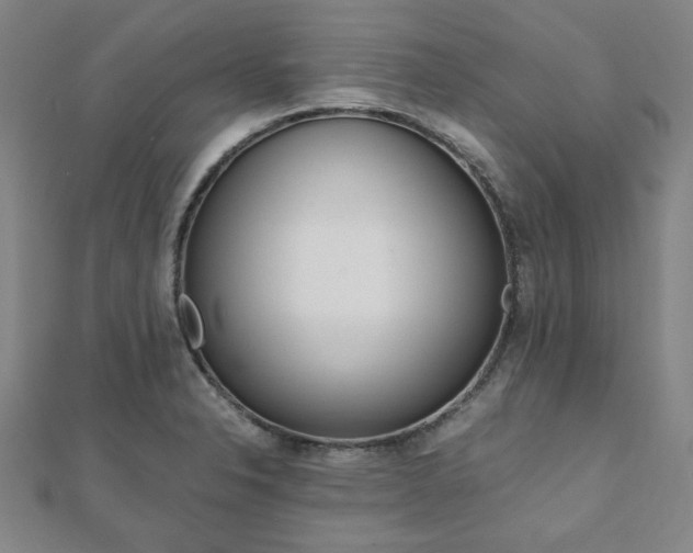X0000112051326200908040942