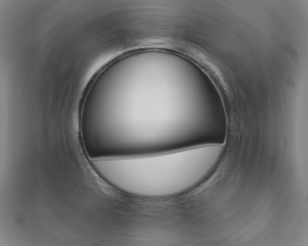 X0000112051328200908040942
