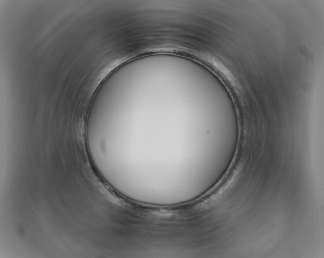 X0000112051329200908040942