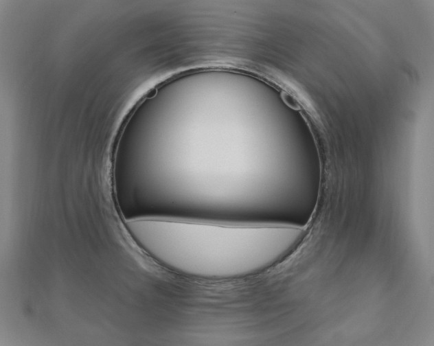 X0000112051332200908040942