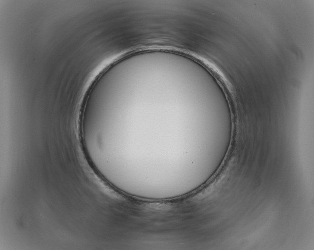 X0000112051333200908040942
