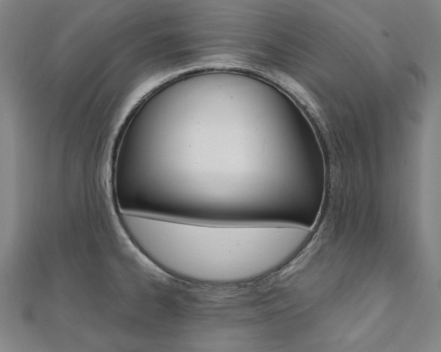 X0000112051334200908040942