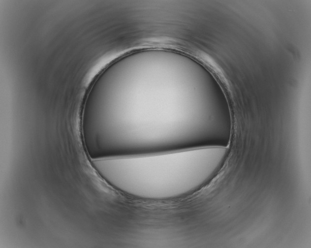 X0000112051336200908040942