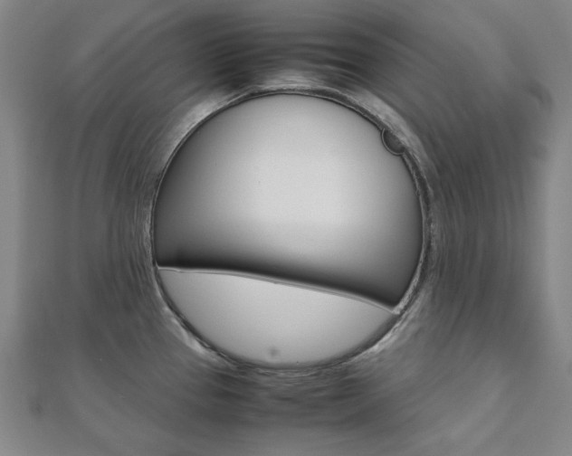 X0000112051337200908040942
