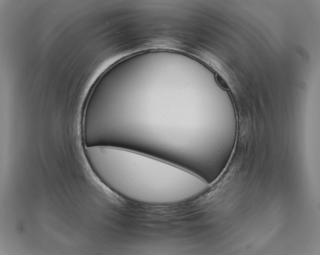 X0000112051339200908040942
