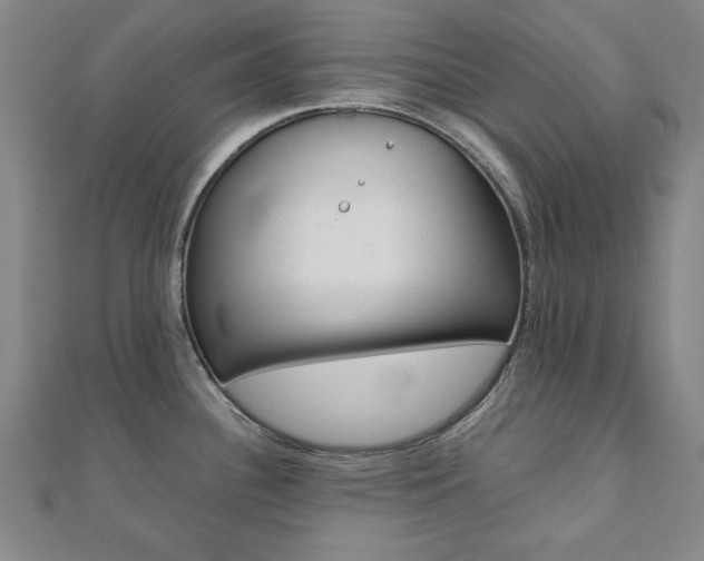 X0000112051340200908040942