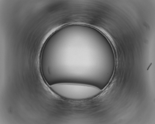X0000112051341200908040942
