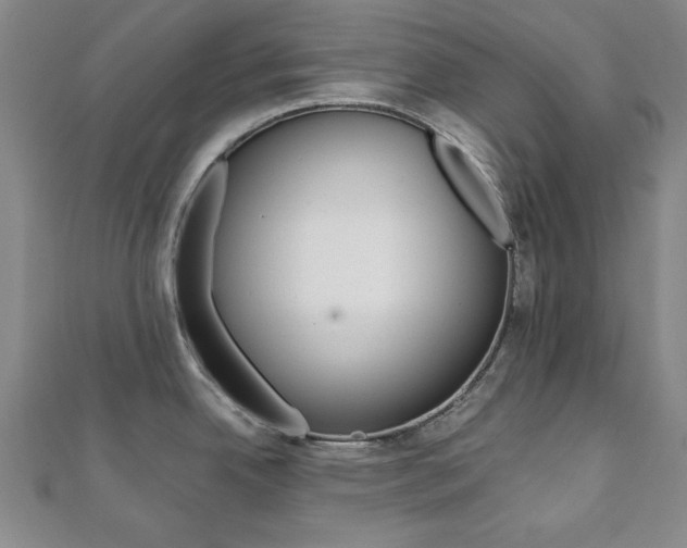 X0000112051342200908040942
