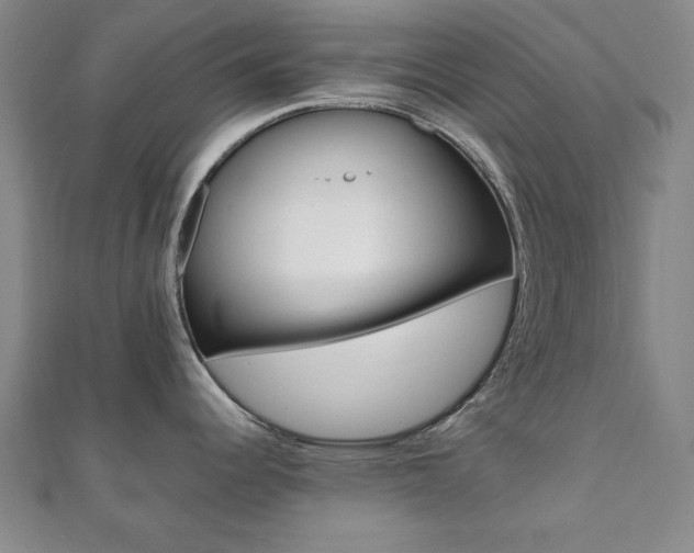 X0000112051344200908040942