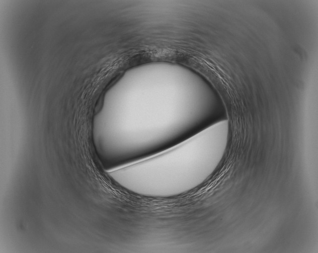 X0000112051345200908040941