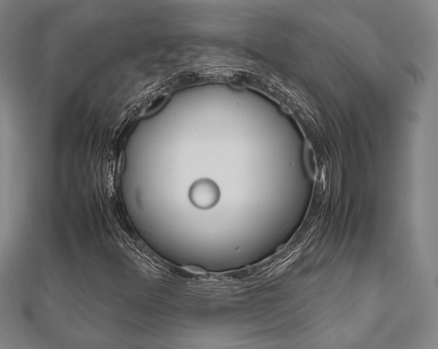 X0000112051348200908040941