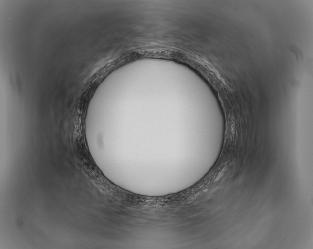 X0000112051350200908040941