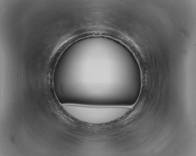 X0000112051352200908040941