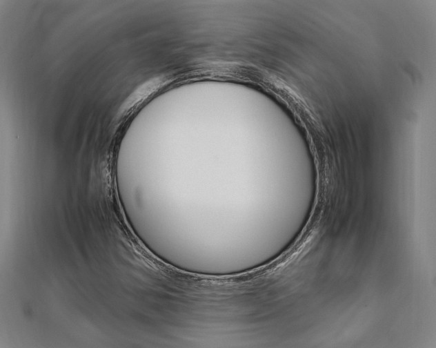 X0000112051354200908040941