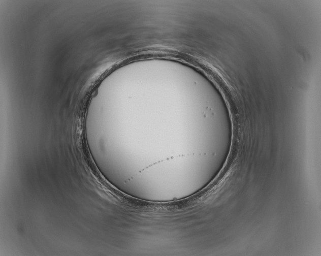 X0000112051355200908040941
