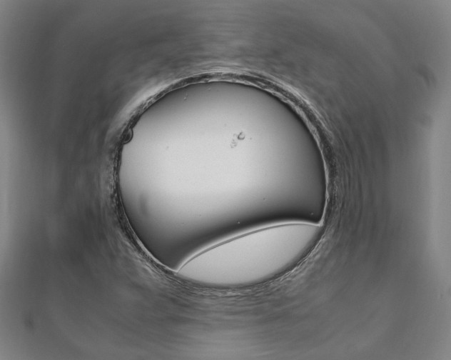 X0000112051359200908040941