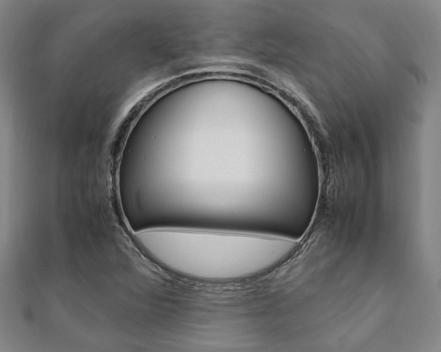 X0000112051360200908040941