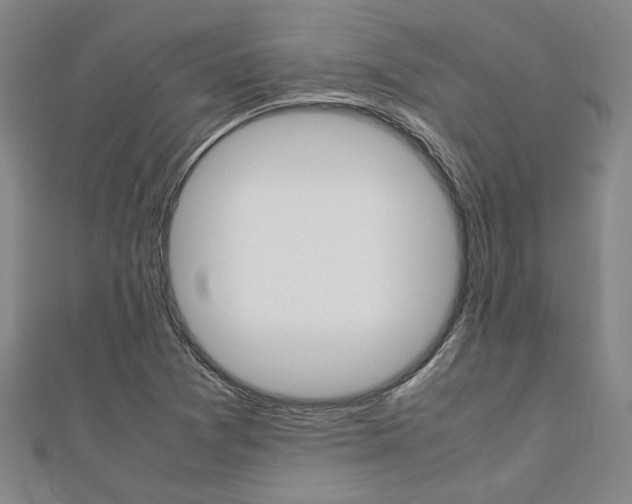 X0000112051361200908040941