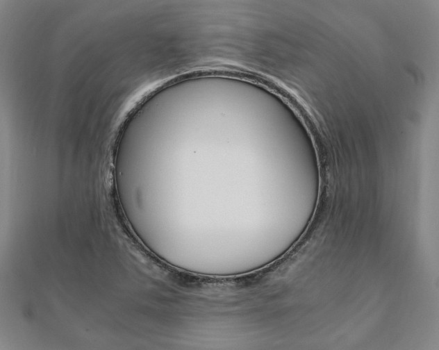 X0000112051363200908040941