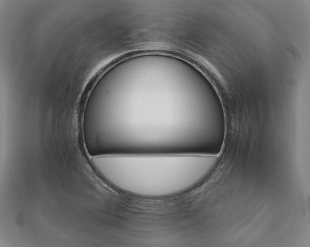 X0000112051364200908040941