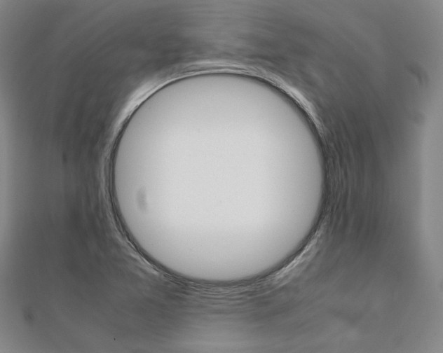 X0000112051365200908040941