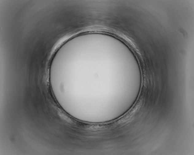 X0000112051366200908040941