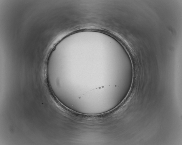 X0000112051367200908040941