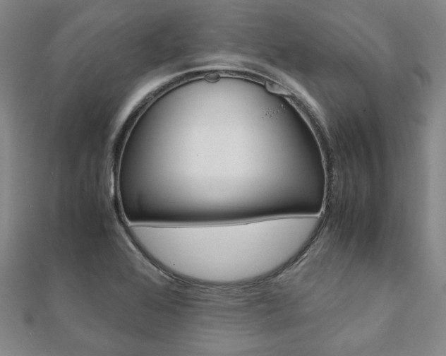 X0000112051368200908040941