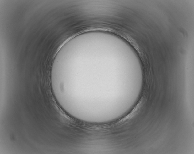 X0000112051369200908040941