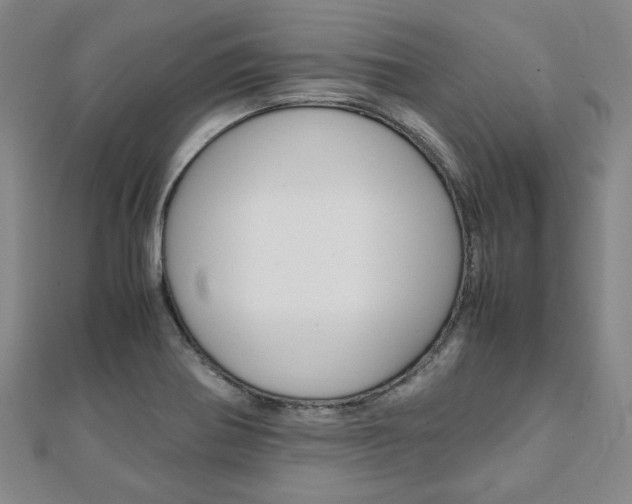 X0000112051370200908040941