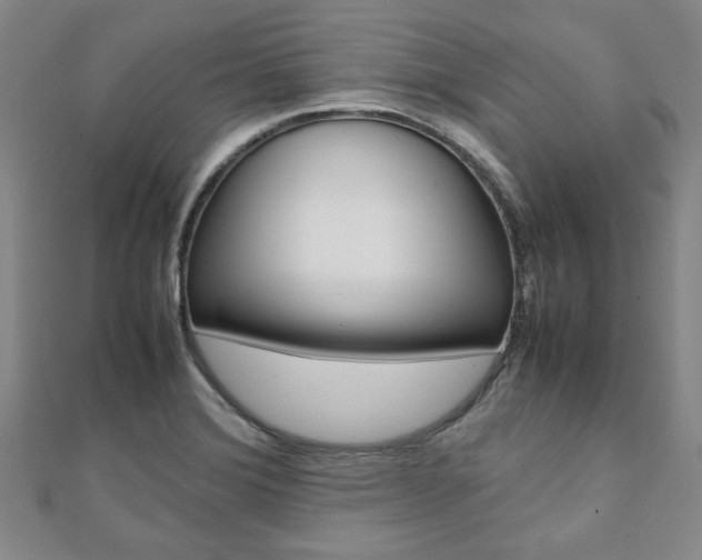 X0000112051372200908040941