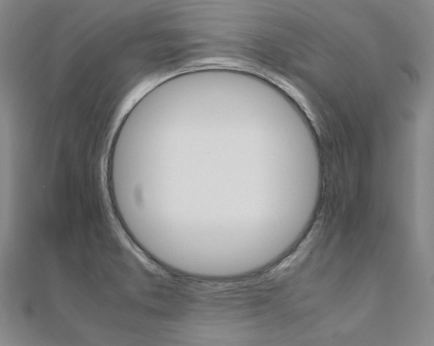 X0000112051373200908040941