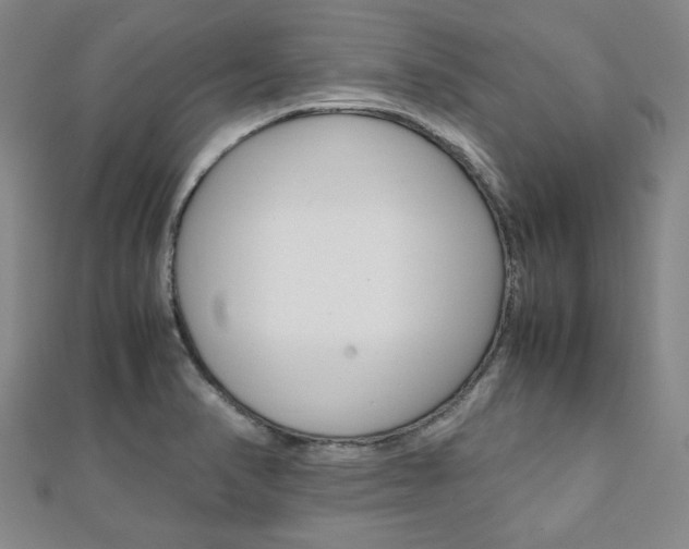X0000112051374200908040941