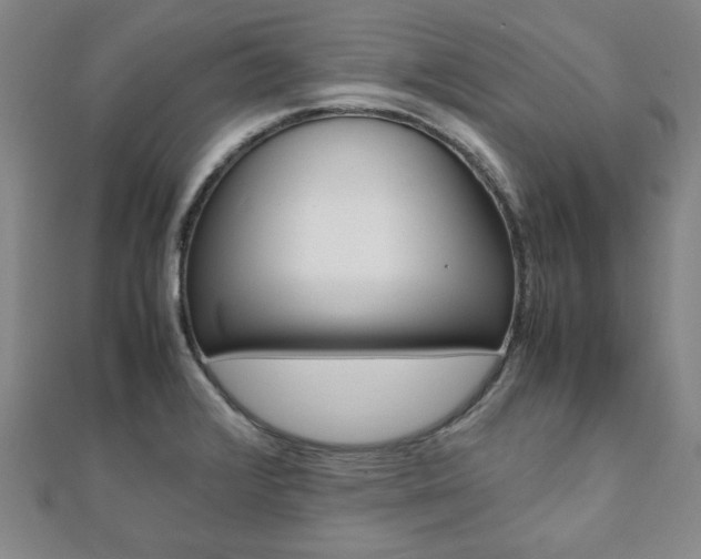 X0000112051376200908040941