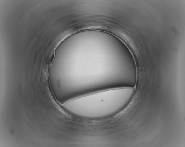 X0000112051377200908040941