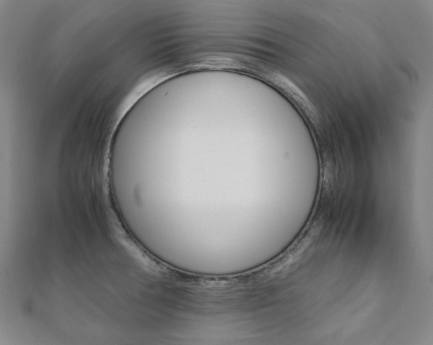 X0000112051378200908040941