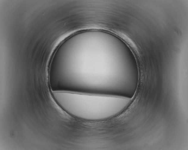 X0000112051380200908040941